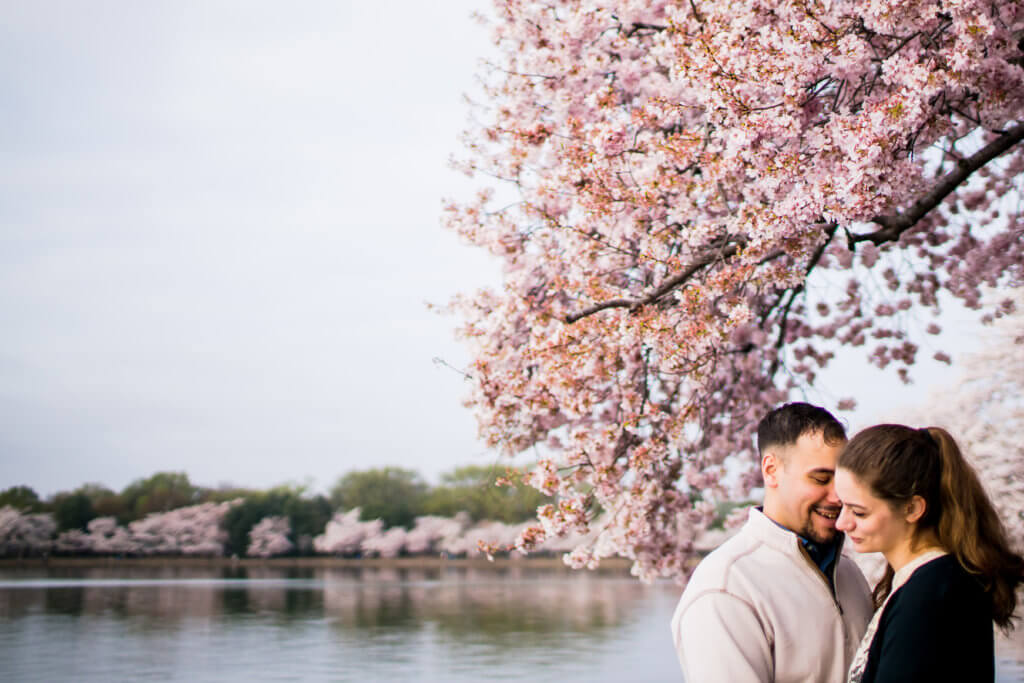 cherry blossoms engagement